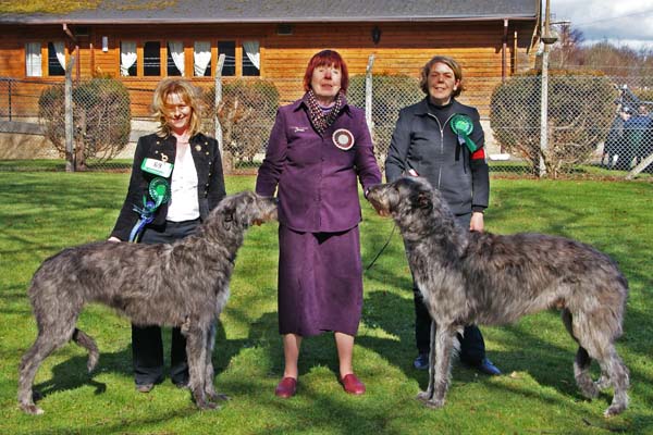 CC Winners Scottish Breeds 2010